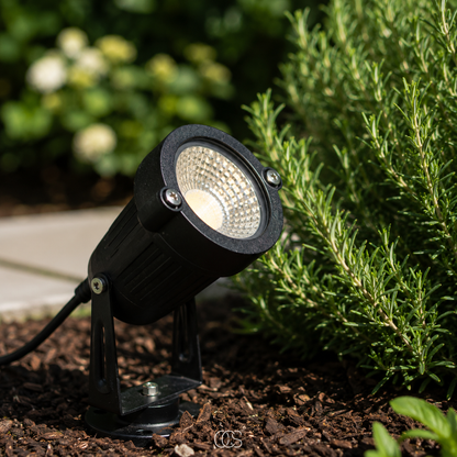 Close-up in daylight of the black spotlight on its base in bark mulch, beside a rosemary bush and a paving edge. 2