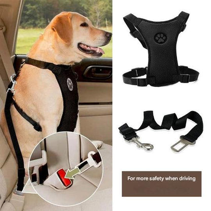 Car seat belt with Comfortable Harness for Dogs - PawSafe