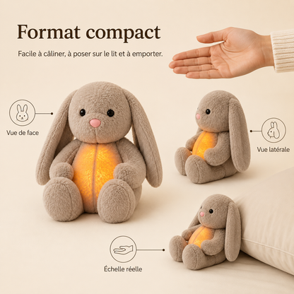 Grey bunny plush shown from the front and side, with a hand above for scale and a cushion beside it. 9