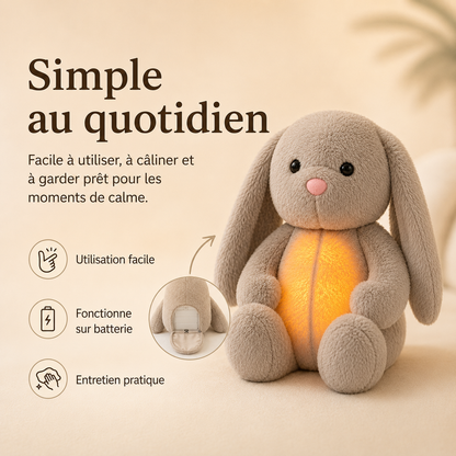 Grey bunny plush with glowing tummy, with an inset showing its open back compartment where the battery fits. 10
