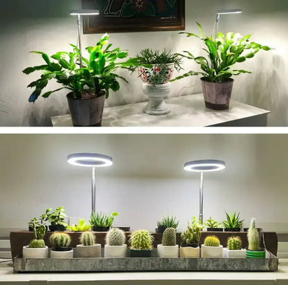 Full Spectrum LED Grow Light with Timer and Dimmer Function 2