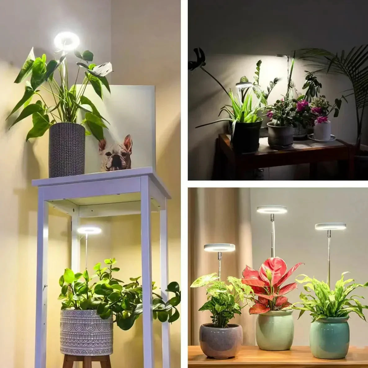 Full Spectrum LED Grow Light with Timer and Dimmer Function 4