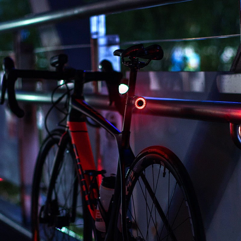 Bicycle rear light - LumiGuard Smartlight