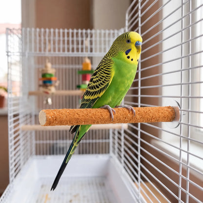 Green and yellow budgerigar perched on an orange gritty perch fixed inside a white cage, with hanging toys behind. 2