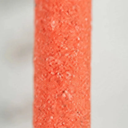 Close-up of the coarse, sandy surface texture of an orange perch against a soft grey background. 4