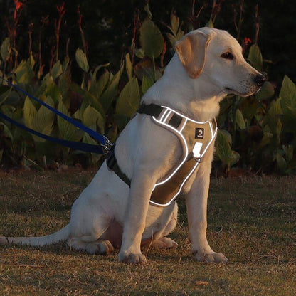 Anti-Trek Dog Harness with Comfort Padding – PullFree