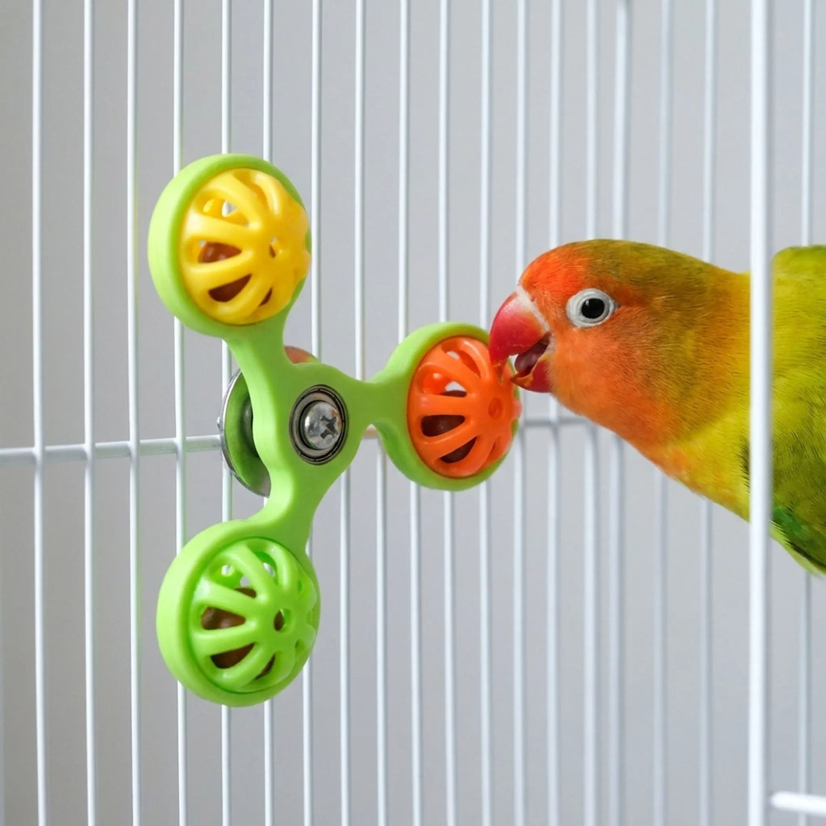 Lovebird with an orange face nibbling at the orange perforated ball of the green spinner toy fixed to a white cage. 2