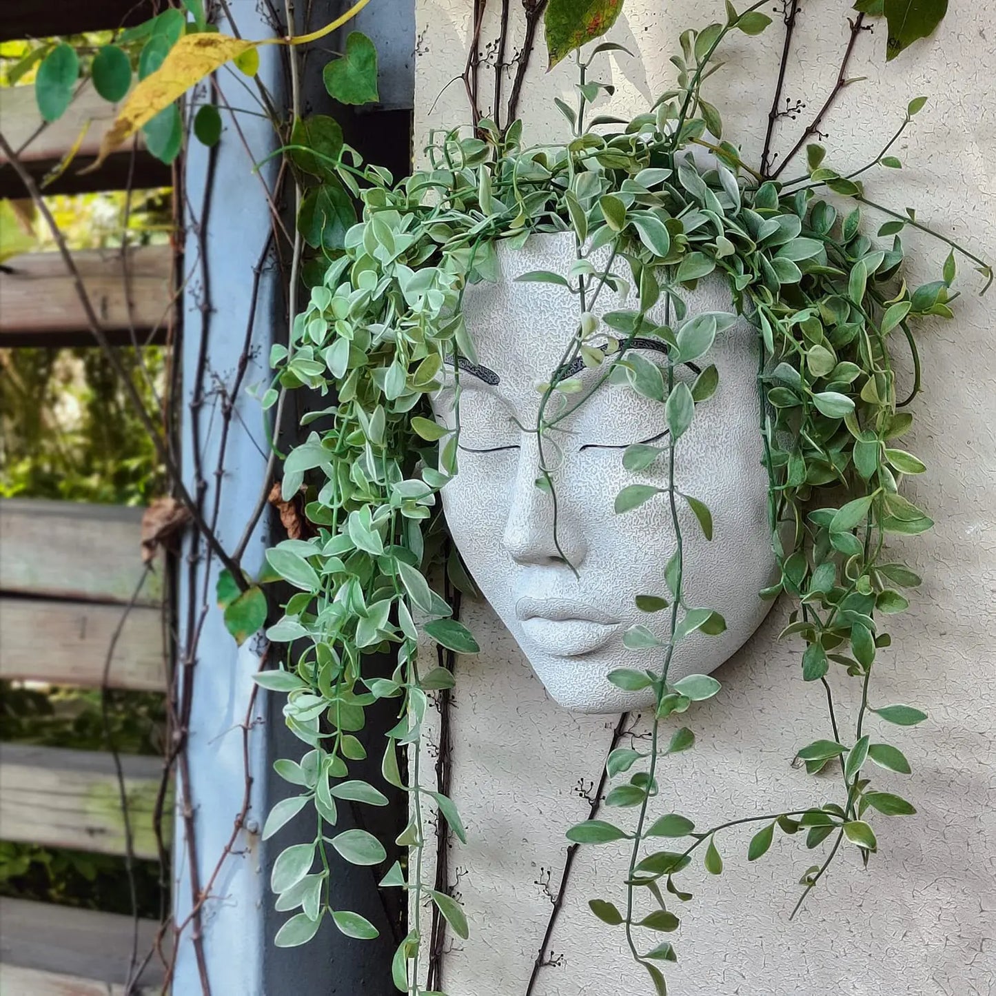 Hanging Pot with Harsh Human Face - FaceVibe