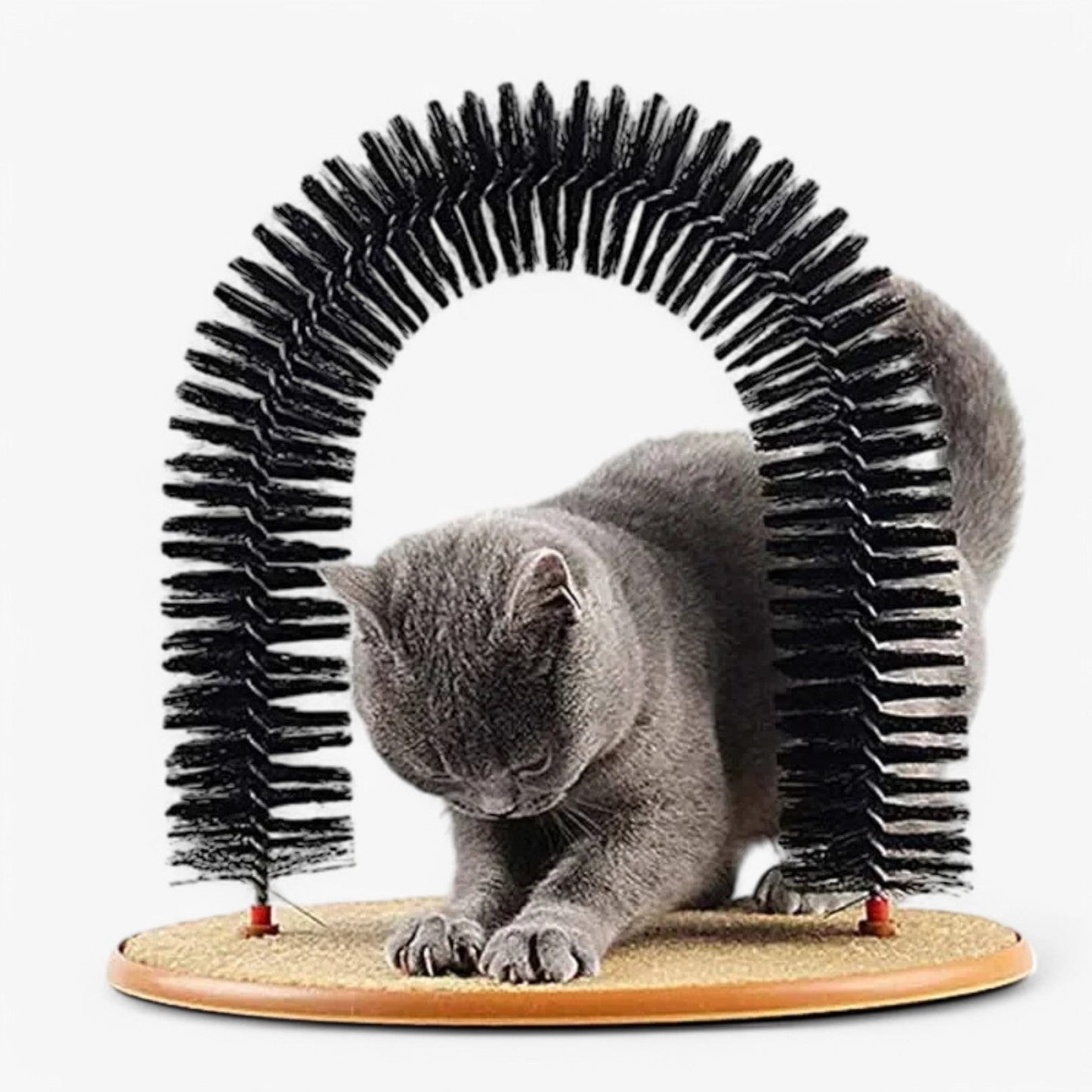 Self-Care Crab and Massage Arch for Cats – Mira