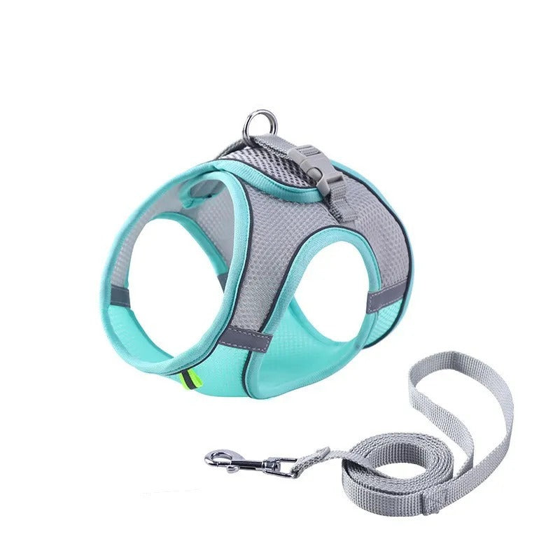 Adjustable Cat Harness with Leash – WhiskerWander