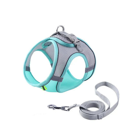 Adjustable Cat Harness with Leash – WhiskerWander
