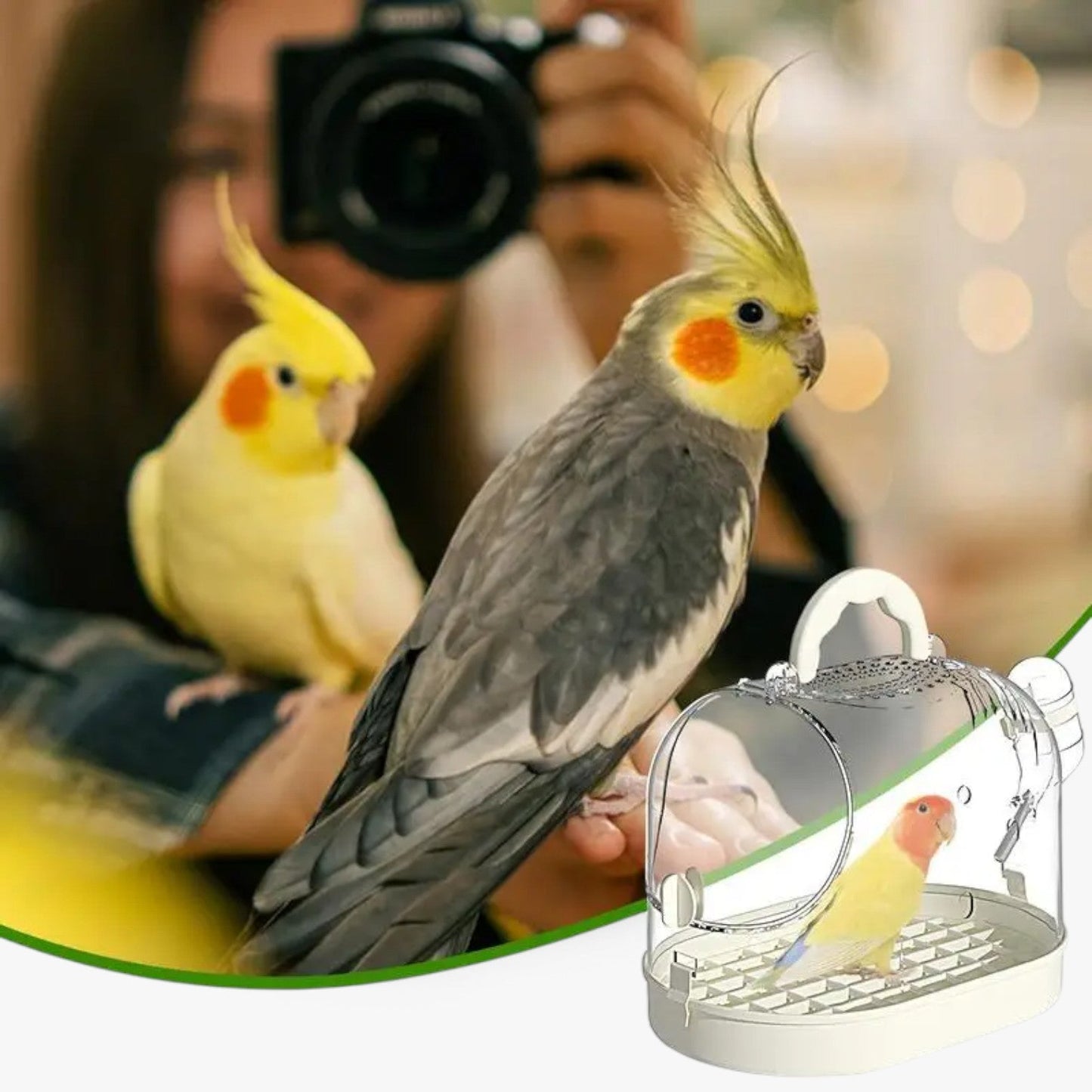 Portable Breathable Travel Cage for Small Pets – Elvi