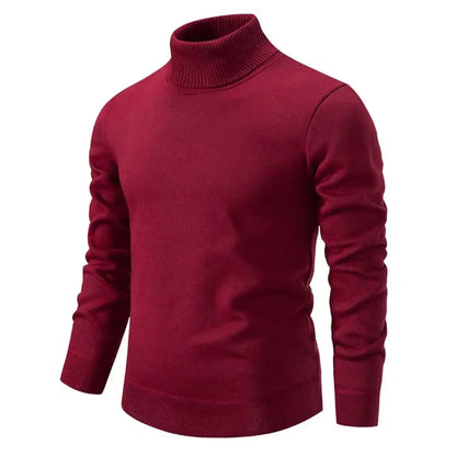 Schmal Geschnittener Rollkragen Sweater - Toni