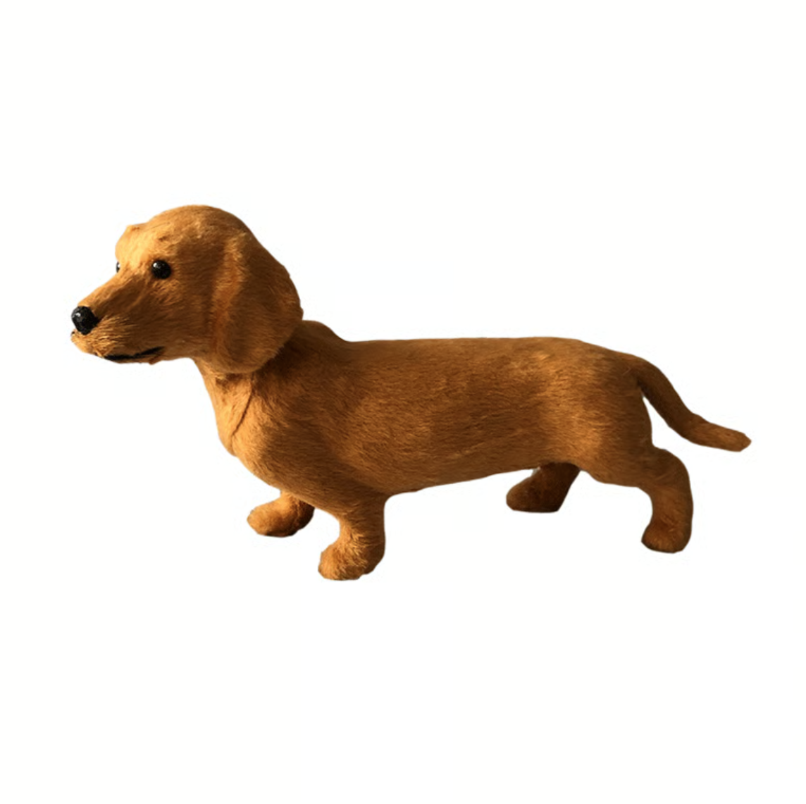 Side view of a standing tan plush dachshund with soft short fur, floppy ears and a black nose on a white background. 1