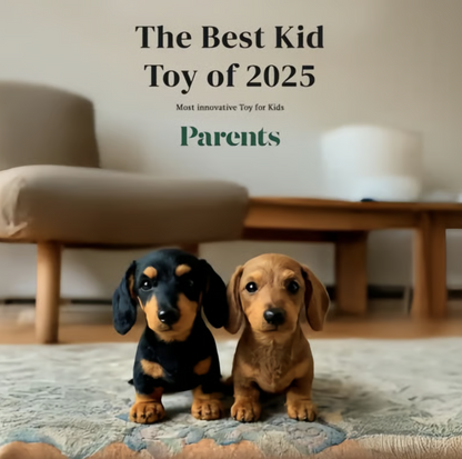 Black-and-tan and tan plush dachshund puppies sitting side by side on a rug in a living room, with an award-style caption above. 8