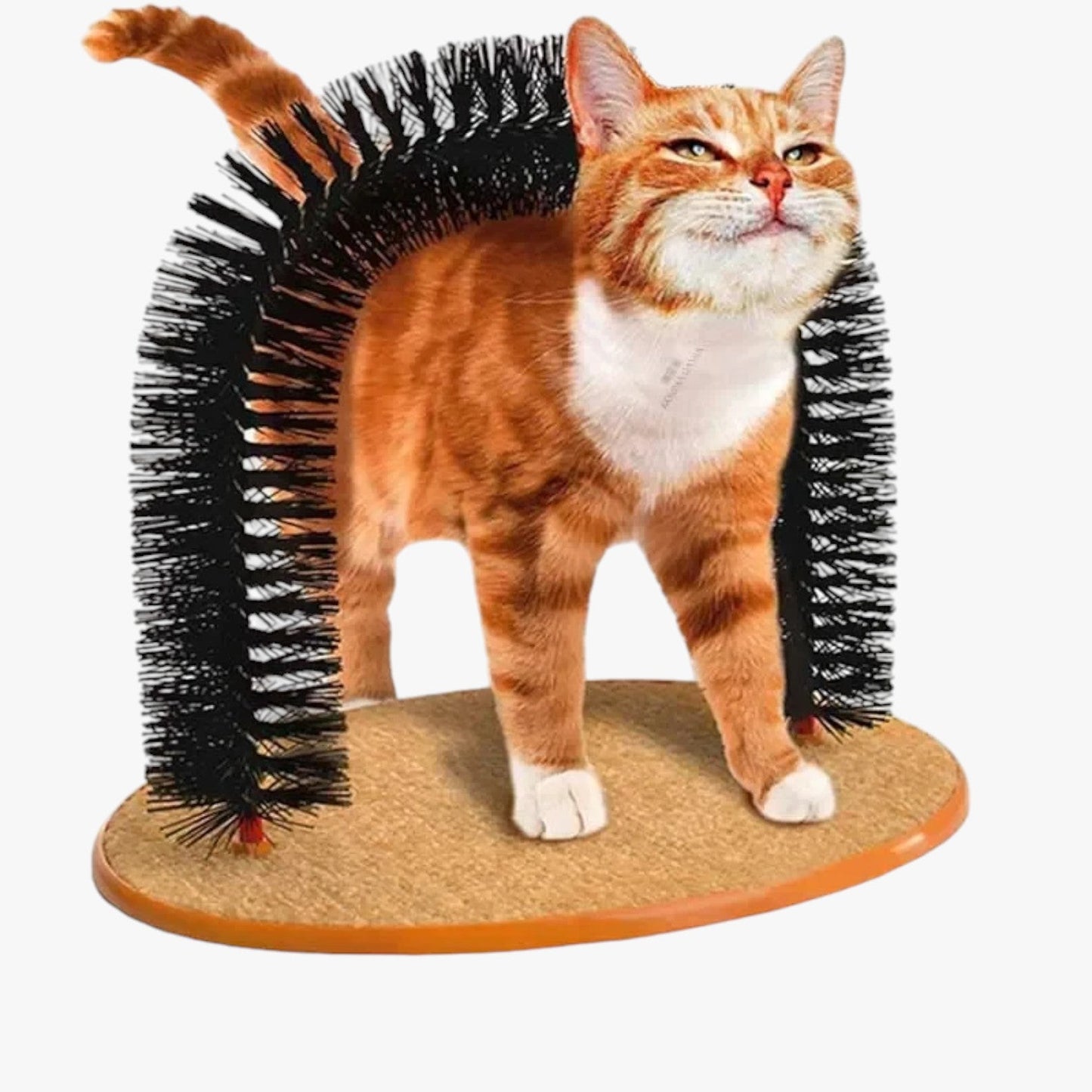 Self-Care Crab and Massage Arch for Cats – Mira