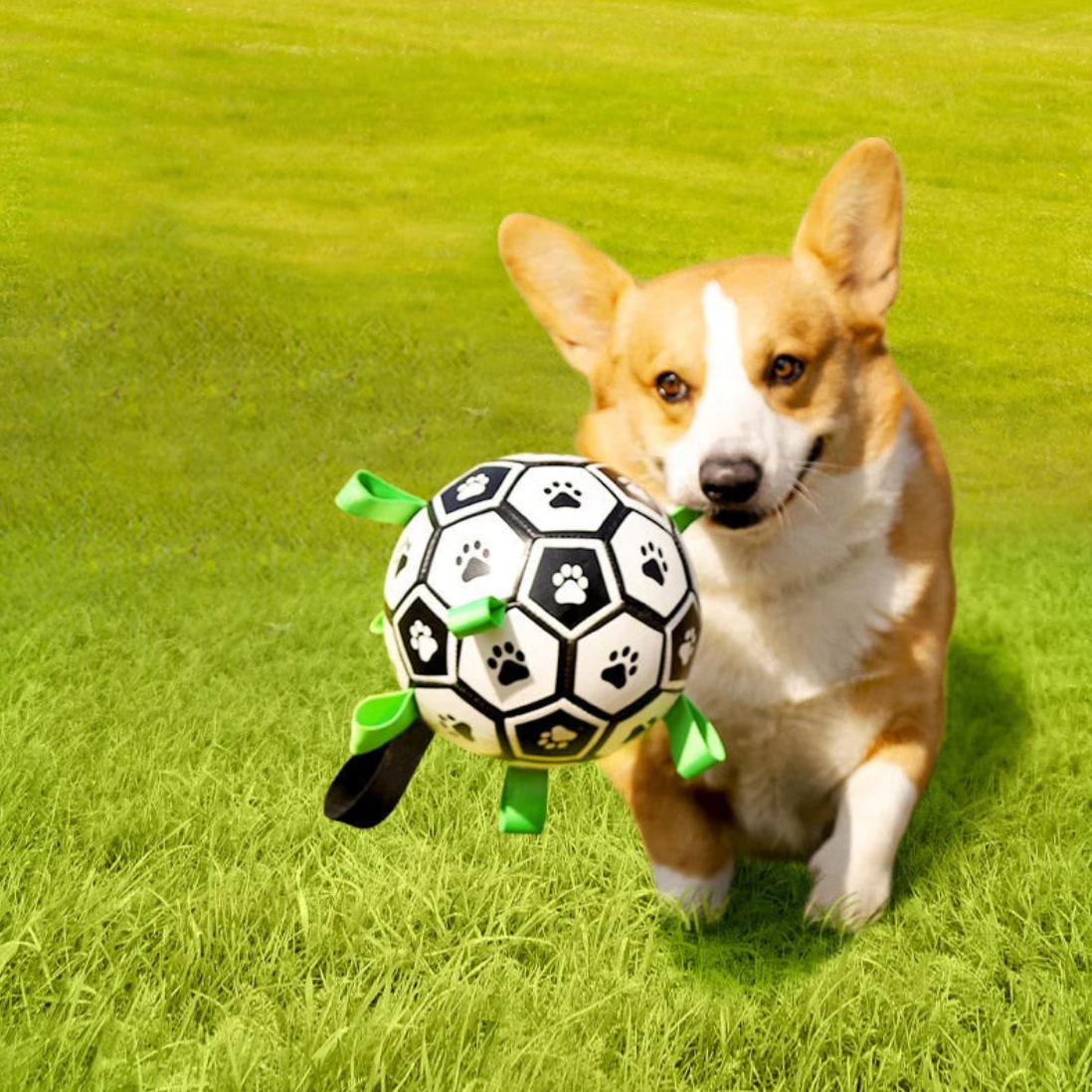Durable Dog Football with Handles – TugBounce