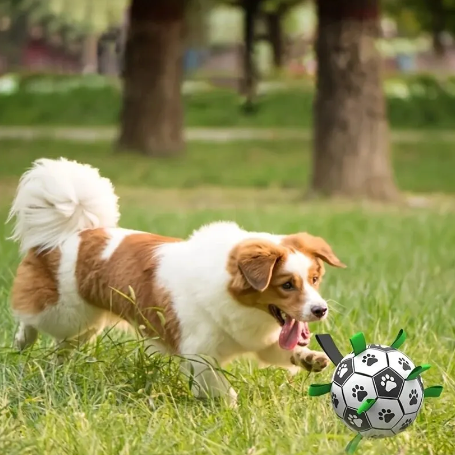 Durable Dog Football with Handles – TugBounce