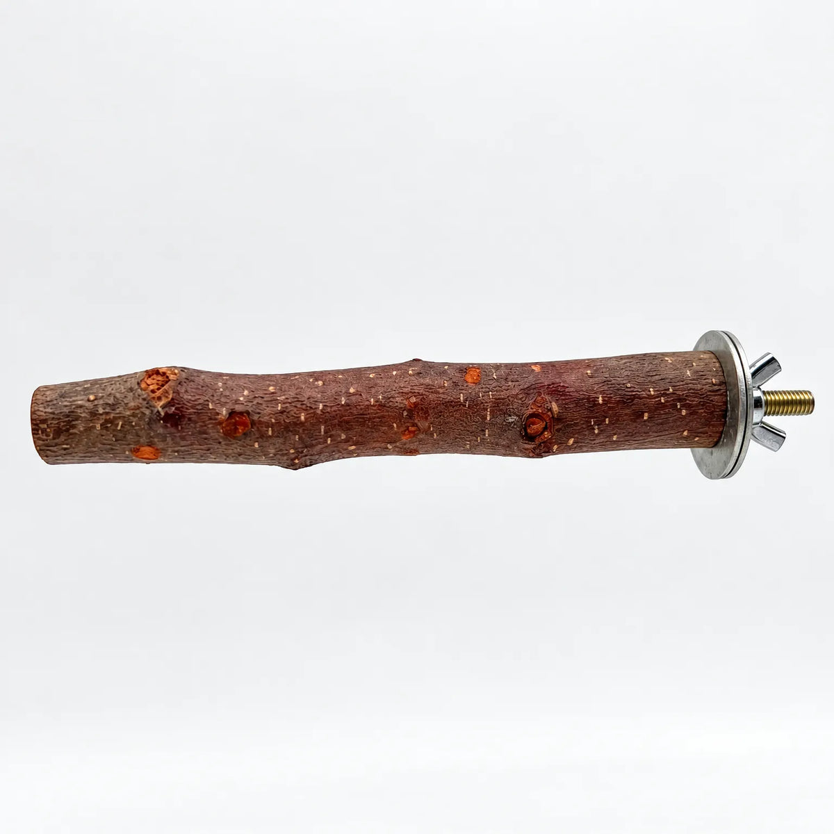 Natural wooden bird perch with knotty bark, shown side-on against white with its metal washer, wing nut and brass bolt visible. 1