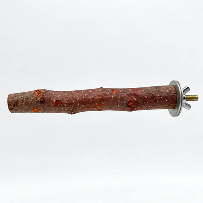 Natural wooden bird perch with knotty bark, shown side-on against white with its metal washer, wing nut and brass bolt visible. 1