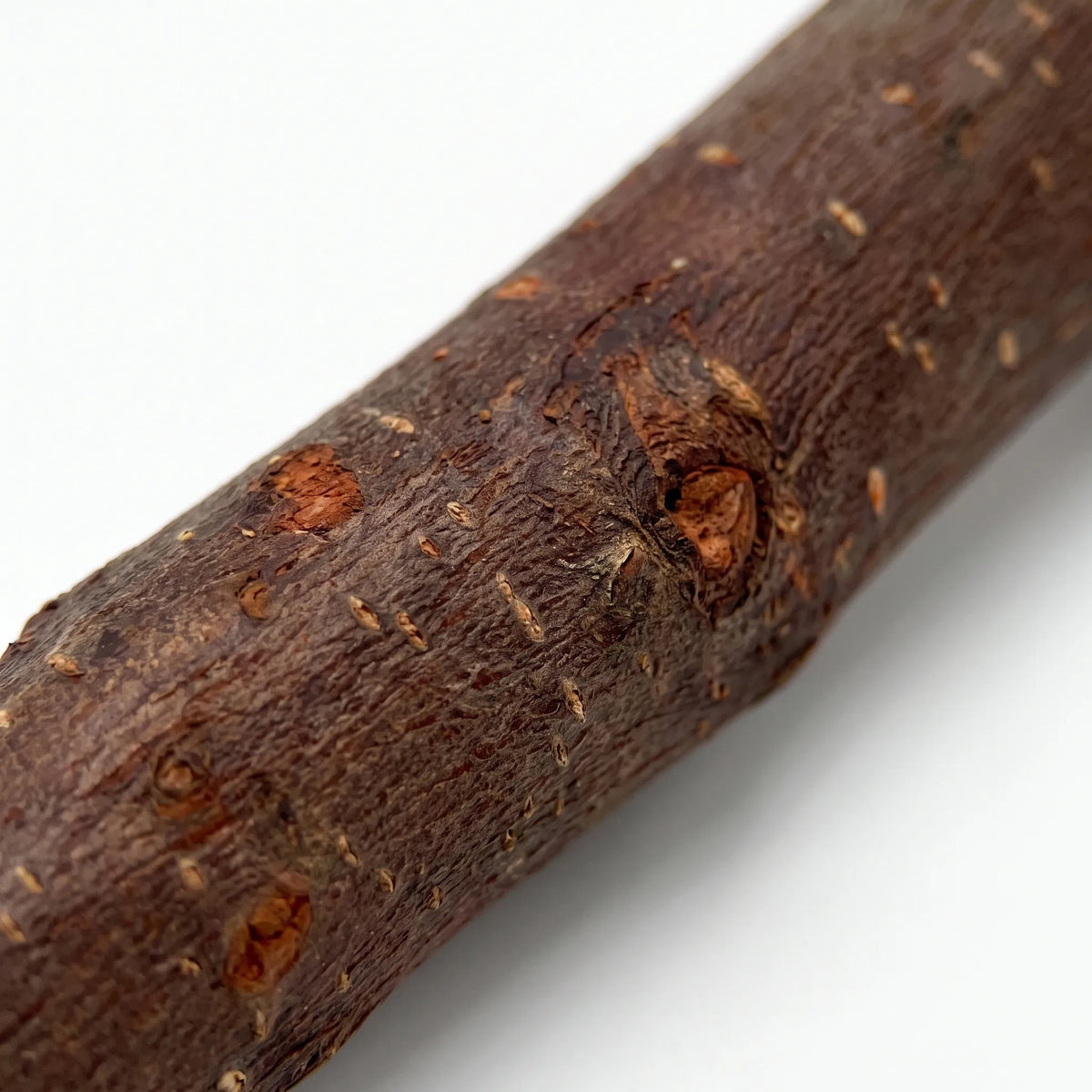 Close-up of the perch's rough, textured bark, showing small knots and lighter orange patches along the natural wood. 3