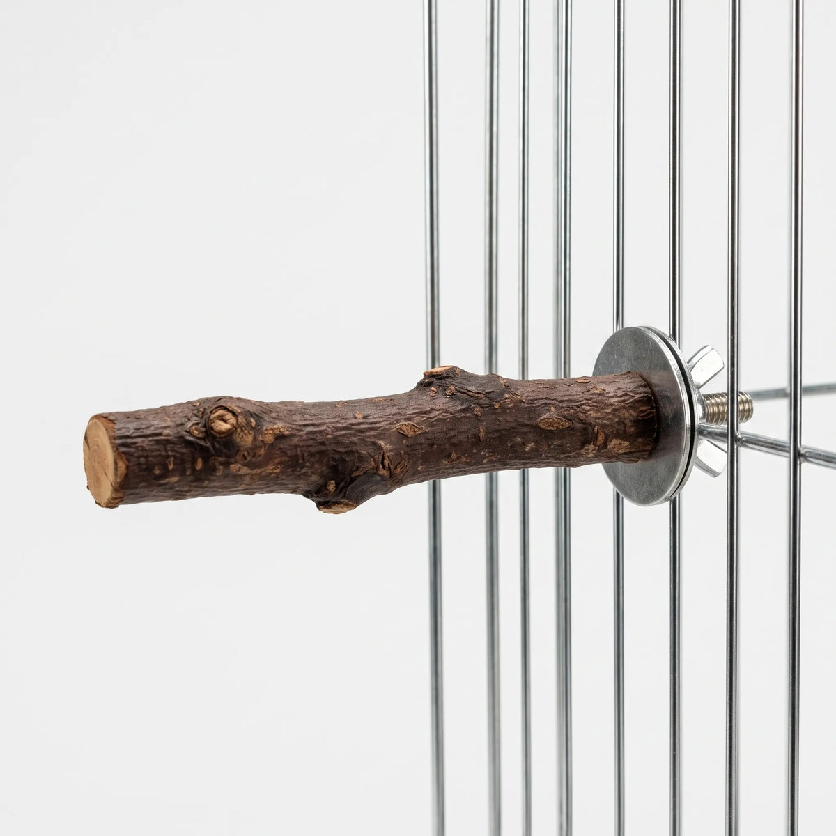 Wooden perch fixed to the vertical bars of a wire cage with a washer and wing nut, against a plain background. 4