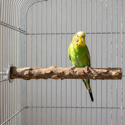 Green and yellow budgerigar standing on the knotted wooden perch, which is fixed inside a metal cage. 2