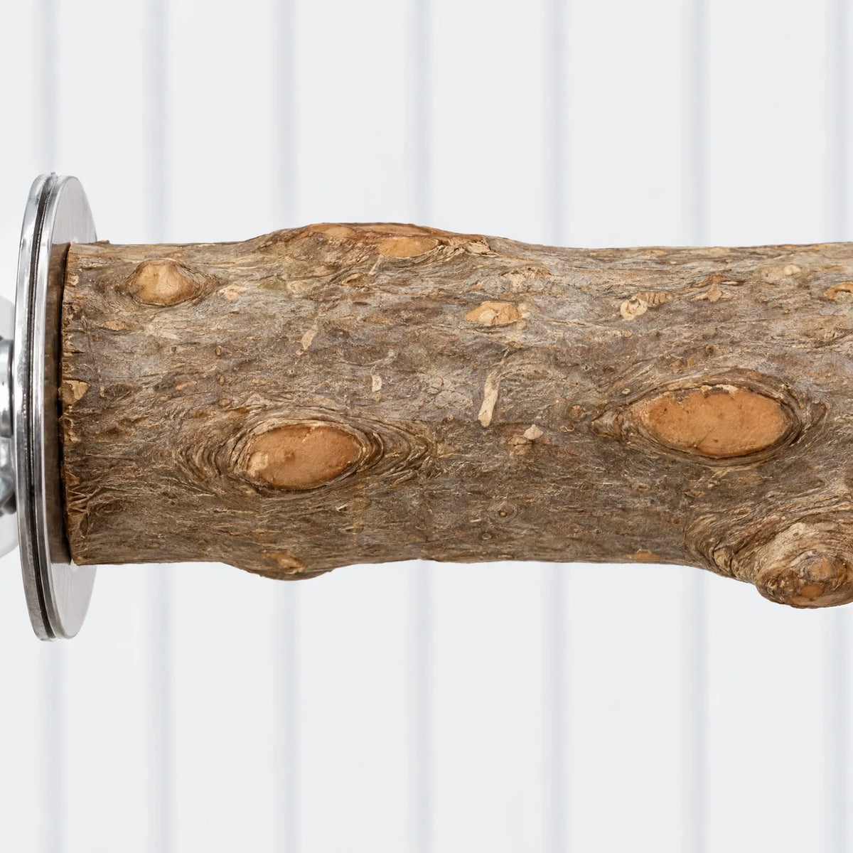 Close-up of the bark and knots on the wooden perch, with the round metal washer at the fixing end. 3