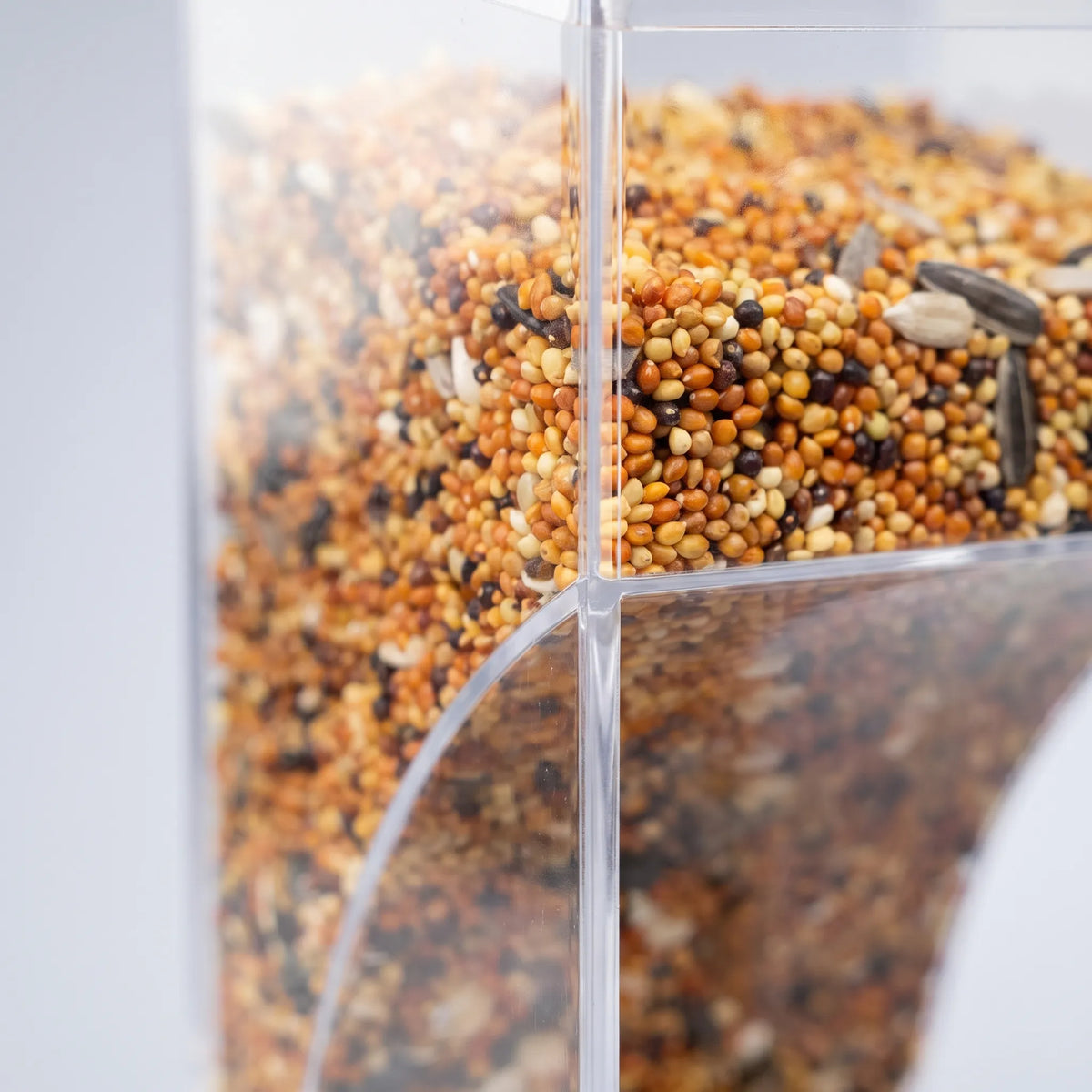 Close-up of the clear acrylic hopper packed with mixed seeds, showing the curved panel that guides seed down to the tray. 3