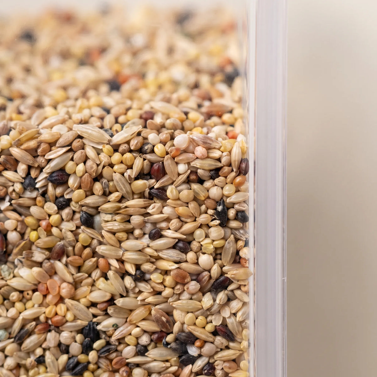 Close-up of mixed bird seed filling the transparent feeder, showing the clear plastic wall along the right edge. 4