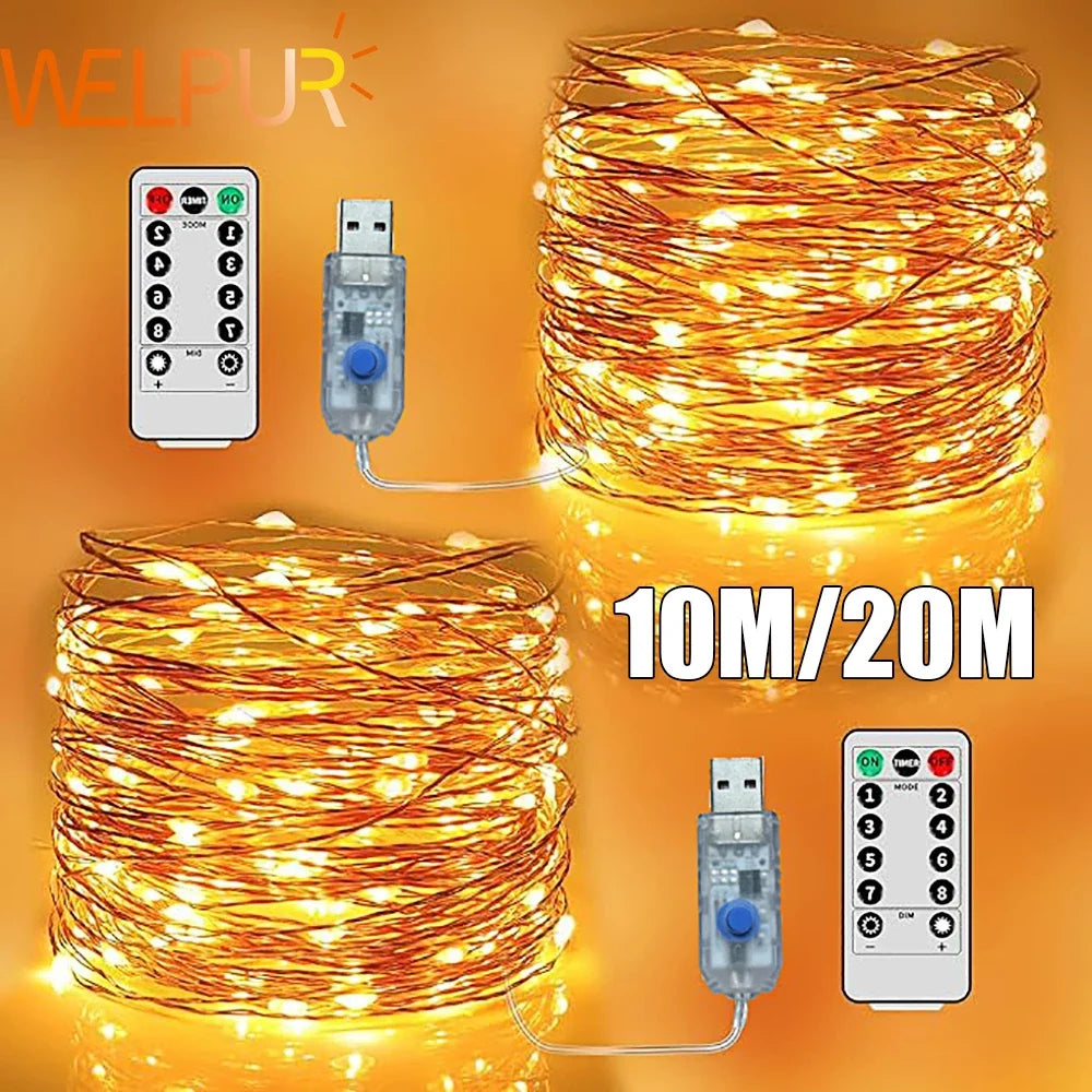 Two glowing coiled strands shown with USB plugs and remote controls, labelled for two lengths 2