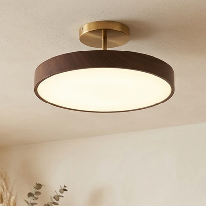 Dark walnut-effect round light with a brass-coloured canopy and stem, glowing warmly against a cream ceiling beside dried grasses. 1