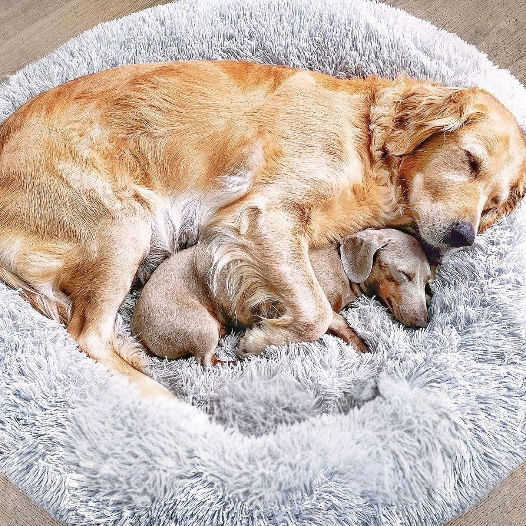 Fluffy Plus Dog Bed – The Original