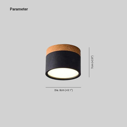 Morandi Style Modern LED Ceiling Light - LumiModo