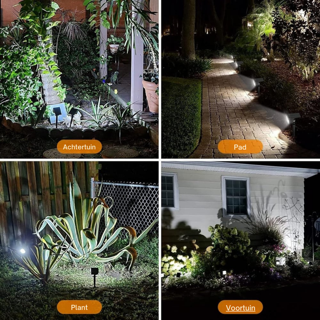 Four-panel collage of the spotlights on bright white light lighting a back garden, a path, a spiky plant and a front garden. 9