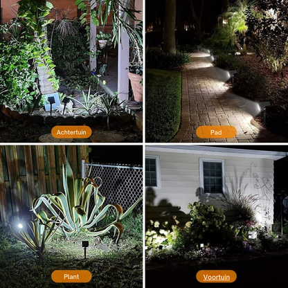 Four-panel collage of the spotlights on bright white light lighting a back garden, a path, a spiky plant and a front garden. 9
