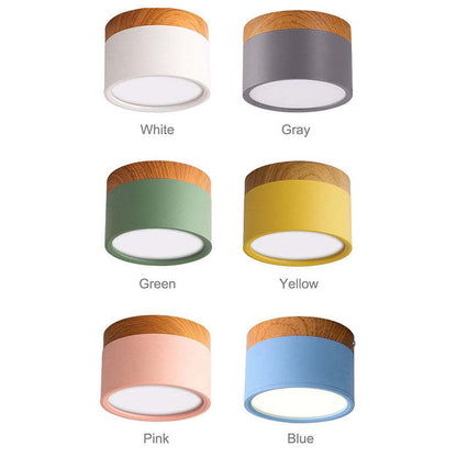 Morandi Style Modern LED Ceiling Light - LumiModo