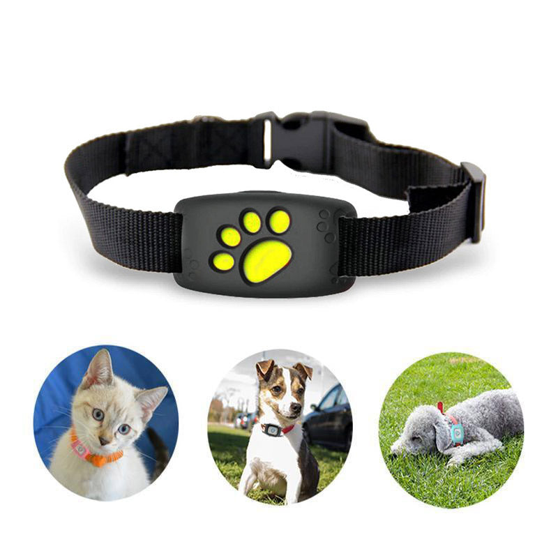 Smart GPS Collar for Cats and Small Dogs – PawTrack