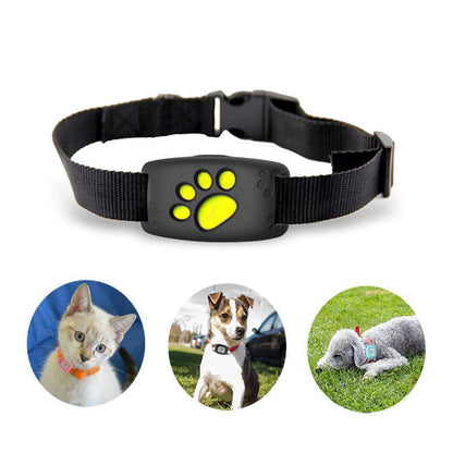 Smart GPS Collar for Cats and Small Dogs – PawTrack