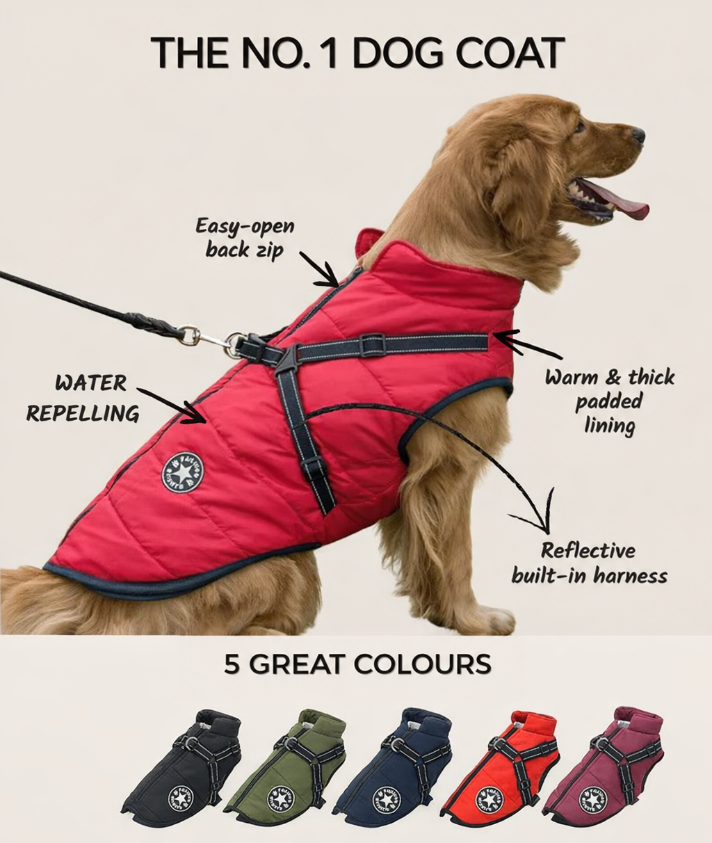 Golden retriever in a red quilted jacket with built-in harness, with feature callouts and a row of five colour options below. 2