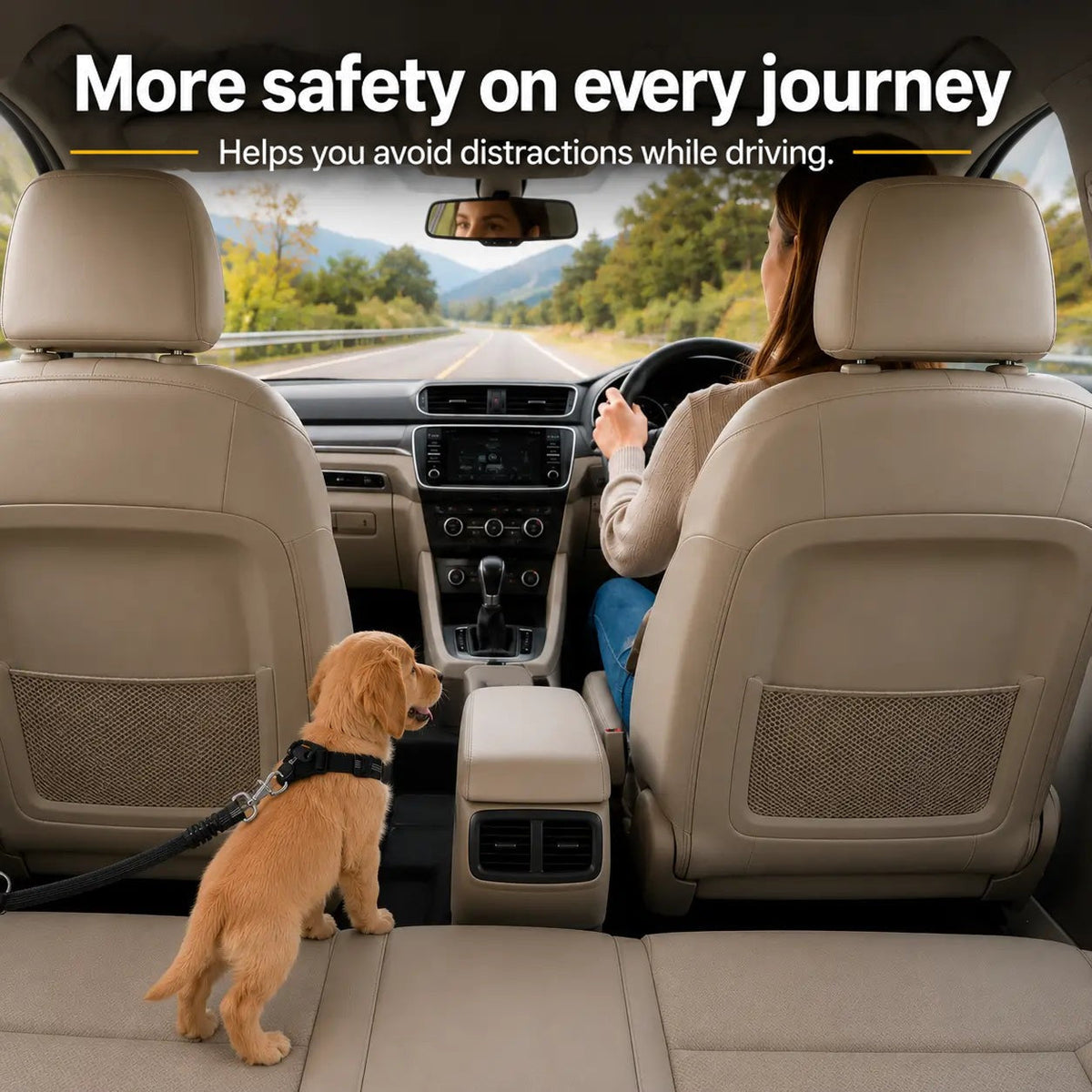 Golden puppy in a harness on the back seat, tethered by the strap while a woman drives 2