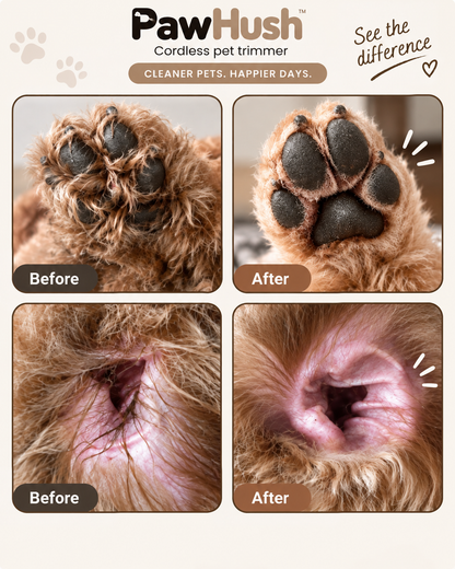 Before and after close-ups of a dog's paw and ear, showing tidier fur after trimming 5