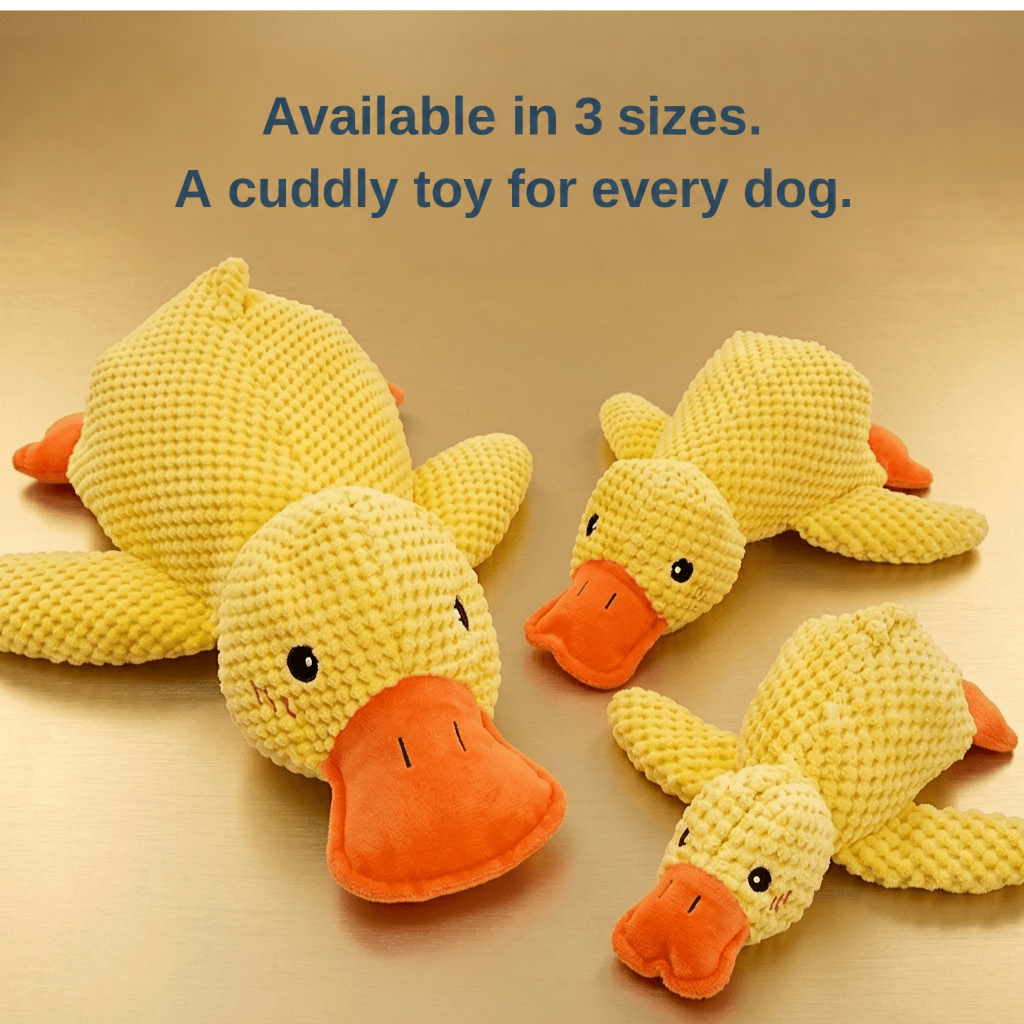 Three yellow plush ducks of different sizes arranged on a golden surface to show the size range 4