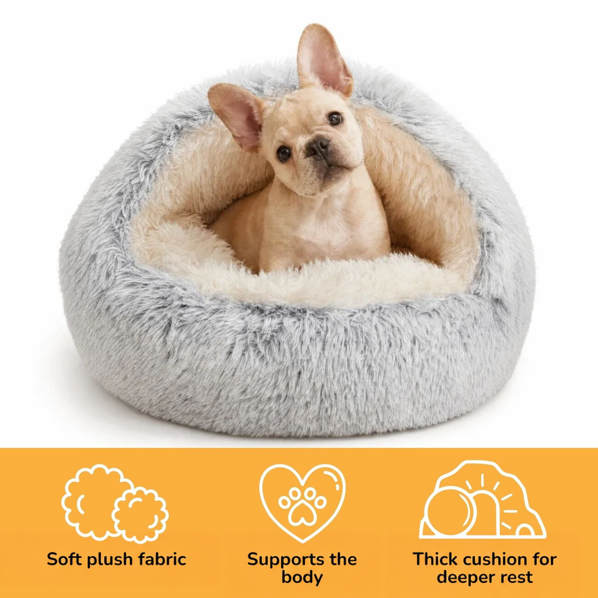 Fawn French bulldog puppy sitting in the grey bed on a white background, with a graphic listing three features in Dutch. 4
