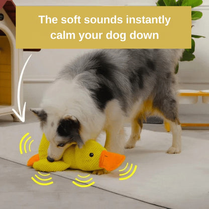 Border collie sniffing the yellow plush duck on a rug, with sound wave lines drawn around it 5