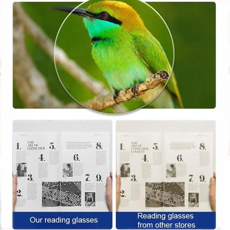 Lens comparison with a close-up of a green bird on a branch and two newspaper pages, one sharp and one blurrier. 8