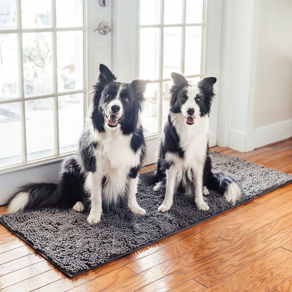 Two black-and-white collies sitting side by side on a long grey chenille mat in front of a glazed door on a wooden floor. 10