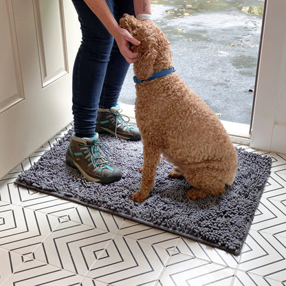 Person in walking boots stroking a curly ginger dog sitting on a grey chenille mat just inside an open front door. 11