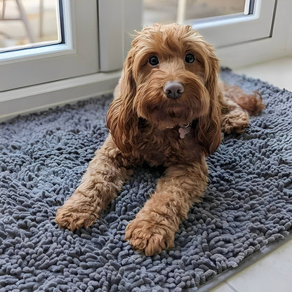 Ginger curly-haired dog lying on a blue-grey shaggy chenille mat by a white window, paws stretched forward. 2