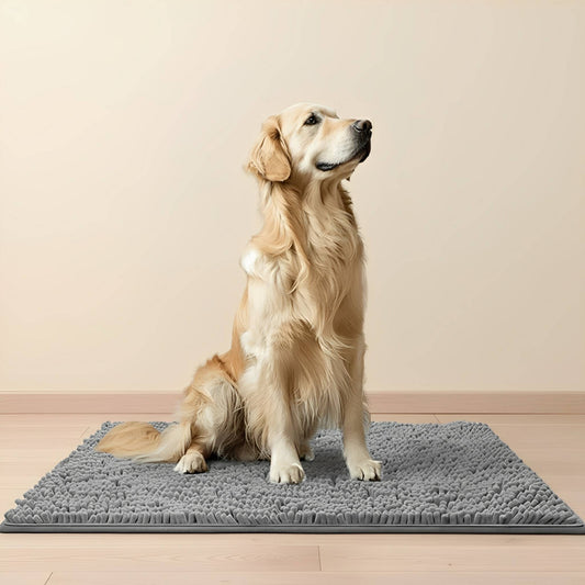 Golden retriever sitting upright on a grey shaggy chenille mat on a pale wooden floor against a cream wall. 1